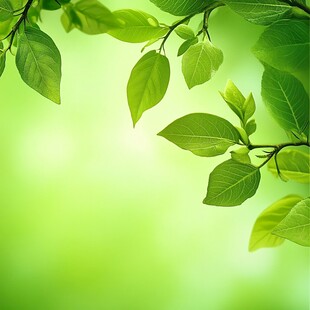 绿色叶子背景