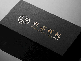 LOGO样机