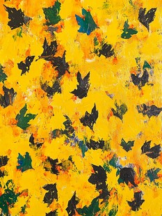 秋日暖阳下的枫叶舞