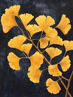 秋日暖阳映照下的银杏叶