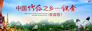 竹荪之乡织金