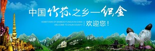 织金竹荪