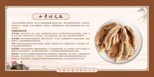 天麻简介