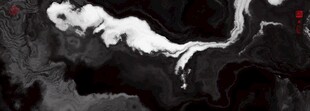 泼墨装饰画