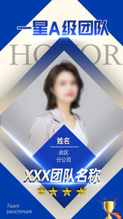 团队荣誉表彰海报