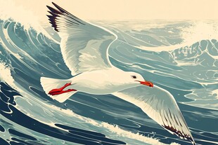 翱翔的海鸥