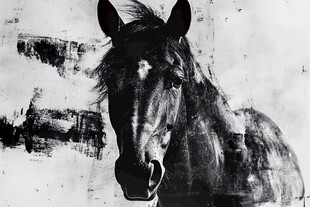 马的肖像画