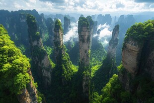 森林中的巍峨悬崖