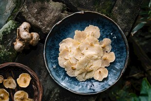 浅黄色蘑菇拼盘