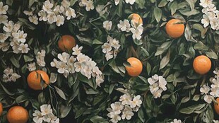 橙色花朵与橙色果实共生