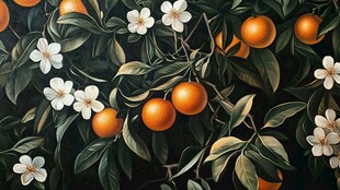 橙色花朵与橙子