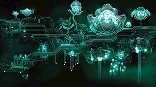 数字化的自然之谜