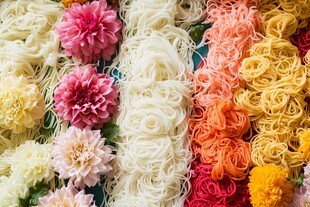 多彩面条与鲜花的艺术融合