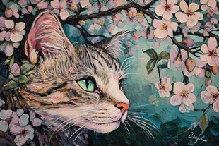 猫与樱花