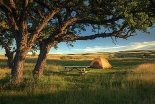 自然之境的宁静营地