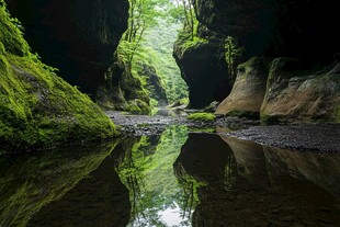 绿色峡谷的宁静倒影