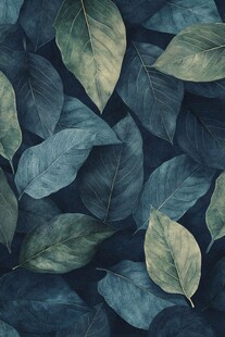 叶子的宁静之谜