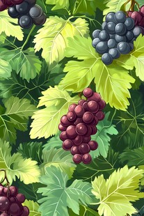 葡萄与叶子