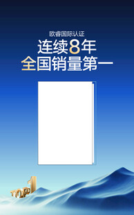 销量第一