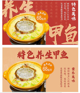 特色养生甲鱼设计海报图