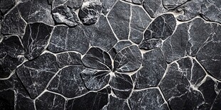 岩石上的自然图案