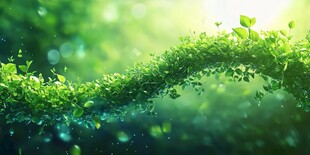 绿色生态波动 自然之舞