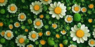 绿色雏菊的盛宴