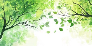 春风吹过的绿色森林