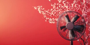 桃花扇舞 红色风尚