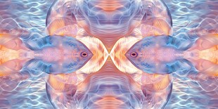 对称的海洋之舞