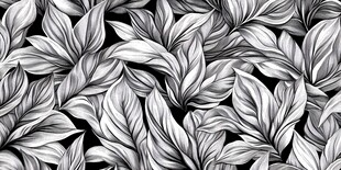 黑白植物叶纹图案