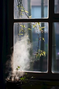 窗外的竹影 室内的暖意