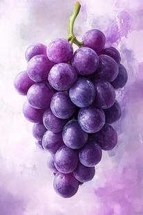 葡萄的艺术渲染
