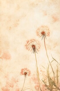 蒲公英的轻盈之舞