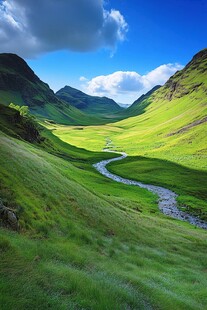 山谷中的绿色风景