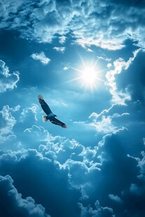 展翅翱翔的鹰