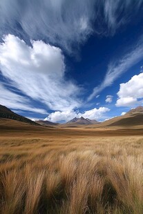 金色草原 蓝天白云 山峦起伏
