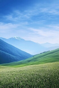 山谷中的绿色草地