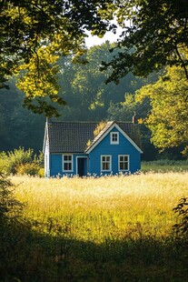 森林中的蓝色小屋