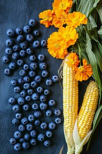 蓝莓玉米花卉静物
