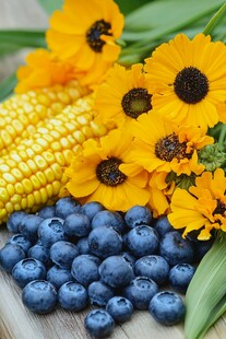 夏日的丰收 玉米和蓝莓的美妙搭配