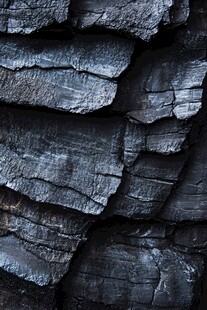 烧焦的木头之谜