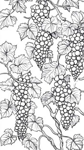 葡萄藤与葡萄串