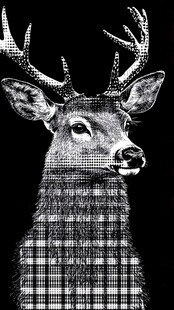 黑白鹿头像