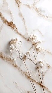 白色大理石上的白色花朵