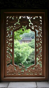 绿意盎然的庭院美景