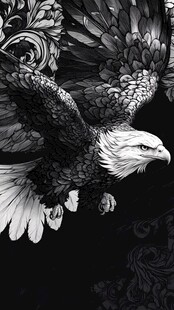 黑白鹰纹艺术