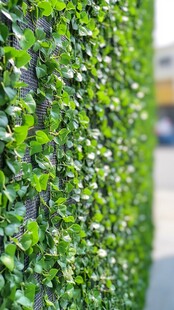 绿色植物墙