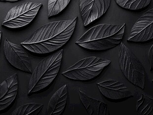 黑色叶子艺术