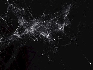 网络连接的复杂性